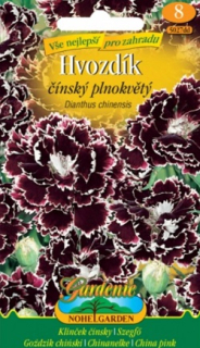 Hvozdík čínský, plnokvětý (semena)